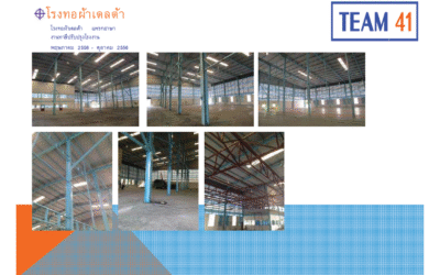 โรงทอผ้าเดลต้า แพรกอาษา